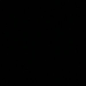 Meet your Posher, Jayden